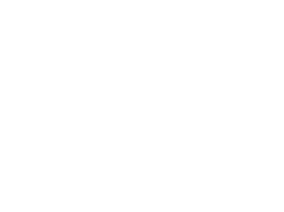 Liz Teacher